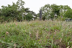 Hochberg