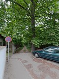 1 Rosskastanie