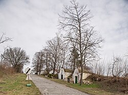 Am Berg in Wilfersdorf (Wilfersdorf (Niederösterreich))