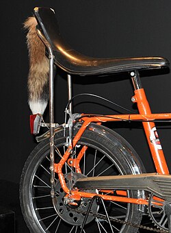 Fuchsschwanz am Bonanza-Rad