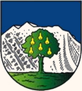Wals-Siezenheim