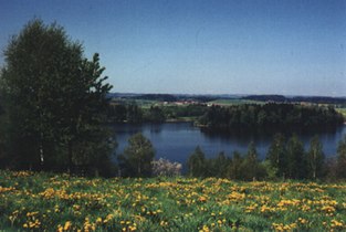 Abtsdorfer See