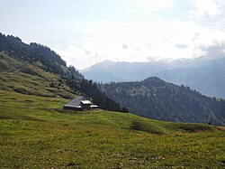 Alpe Altenhof in Ebnit I (Dornbirn)