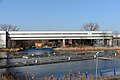 Station Alte Donau