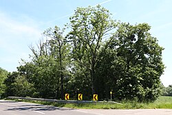 Alter Lauf der Schwechat