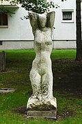 Weiblicher Torso