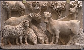 Schafe und Ochsen der Christi Geburt