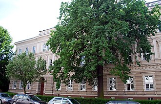Das BORG Linz an der Honauerstraße