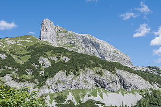 Sturzhahn von der Tauplitzalm