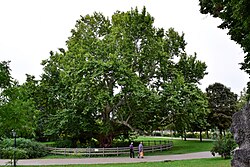Schlosspark Weikersdorf-Doblhoffpark