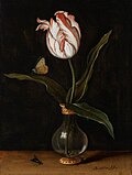 Balthasar van Ast: Vase mit einer Tulpe (ca. 1625) (Neuerwerbung 2022)