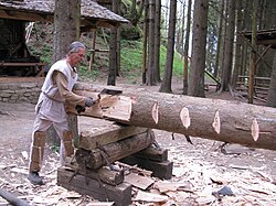 Ein Behauer arbeitet ein Kantholz für die Baustelle aus.