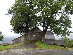 Berg-Ahorn und Esche in Oberpreitenegg