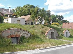 Kellergasse in Berg (Niederösterreich) (Berg (Niederösterreich))