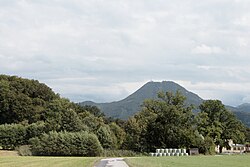 Baumgruppe in Maria Plain