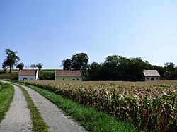 Bergkeller (Oberwinden) in Oberwinden (Herzogenburg)