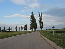 Pappelallee Mühlberg