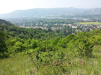 Blick vom Bisamberg Richtung Leopoldsberg und Kahlenberg