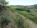 Blick vom steilen Lösstrockenrasen Richtung Südosten.