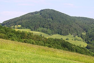 Ansicht des Gföhlbergs von Westen