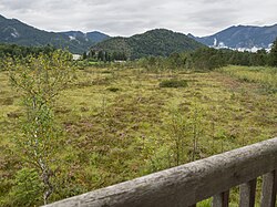Wolfgangsee Blinklingmoos