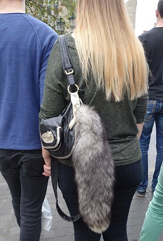 Bluefrost-Fuchsschweif als Taschenanhänger(2016)