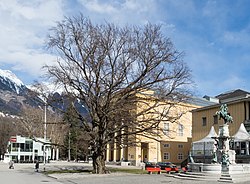 Blutbuche beim Landestheater am Rennweg