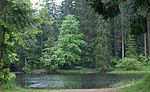 Bödelesee im Regen