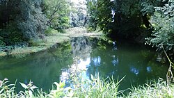 Teile der Innauen bei Braunau