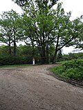 Baumgruppe mit Marterl