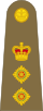 Colonel derBritish Army