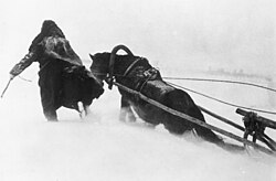 Deutscher Soldat mit Pferdeschlitten in hohem Schnee vor Moskau 1941