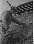 Dachdecker bei der Arbeit mit Reet