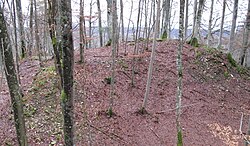 Bild 2: Das hufeisenförmige Plateau der Vorburg