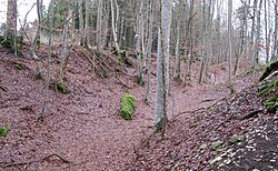 Bild 3: Gegen die Albhochfläche hin ausgerichteter Halsgraben, teils als Spitz-, teils als Sohlegraben ausgebildet