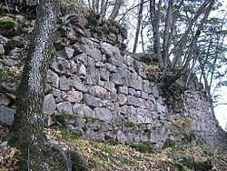 Burgruine Andrian