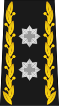 Mounting loop