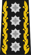 Mounting loop
