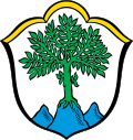 Wappen der Gemeinde Aschau im Chiemgau