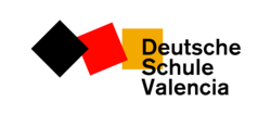 DSV Logo