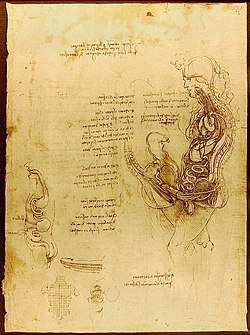 Anatomische Koitusdarstellung, einem hippokratischen Text zur Zeugung folgend, Quaderni III, Blatt 3v, um 1493