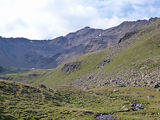 Danzebell von Norden, vom Martinsstock