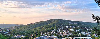 Der Satzberg in Wien Hütteldorf, Blick vom südlich gelegenen Himmelhof, Mai 2024