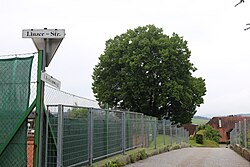 Tennisplatz-Linde