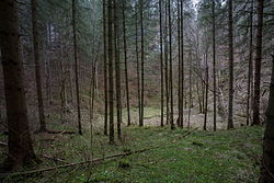 Doline über der Halle der Eingeschlossenen