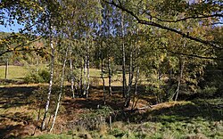 Durchströmungsmoor, Heinreichs bei Weitra