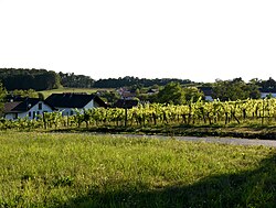 Edlitzer Bergen in Deutsch Schützen-Eisenberg