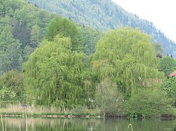 Eglsee samt angrenzender Niedermoorflächen