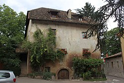 Hebenstreit (Wiesenegg), Pigeno 20