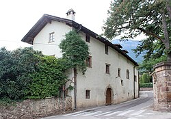 Pigeno 3